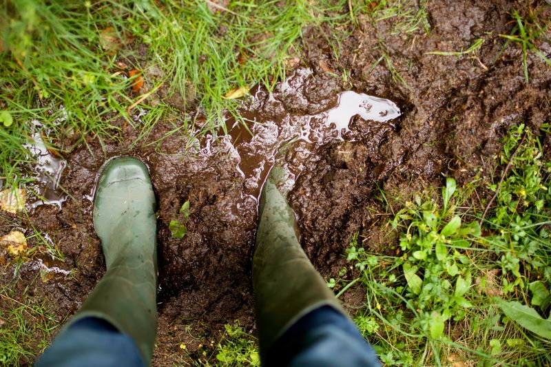 rain boots in mud Service boots in a muddy backyard due to a septic backup.